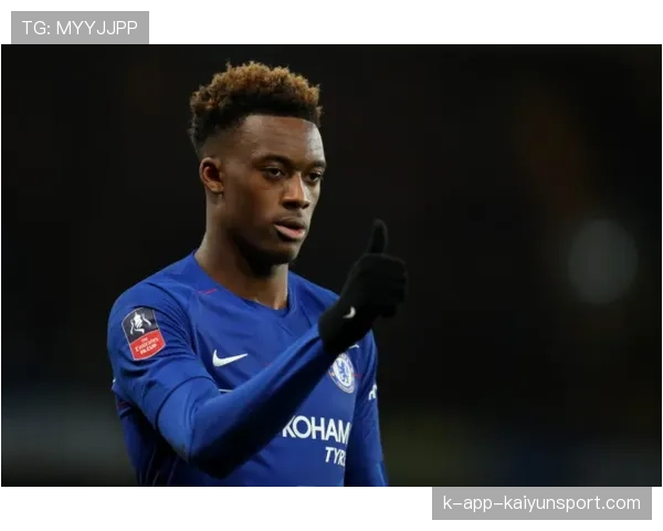 切尔西换帅风暴来袭，马雷斯卡前途未卜，新帅备受关注，marsell 切尔西